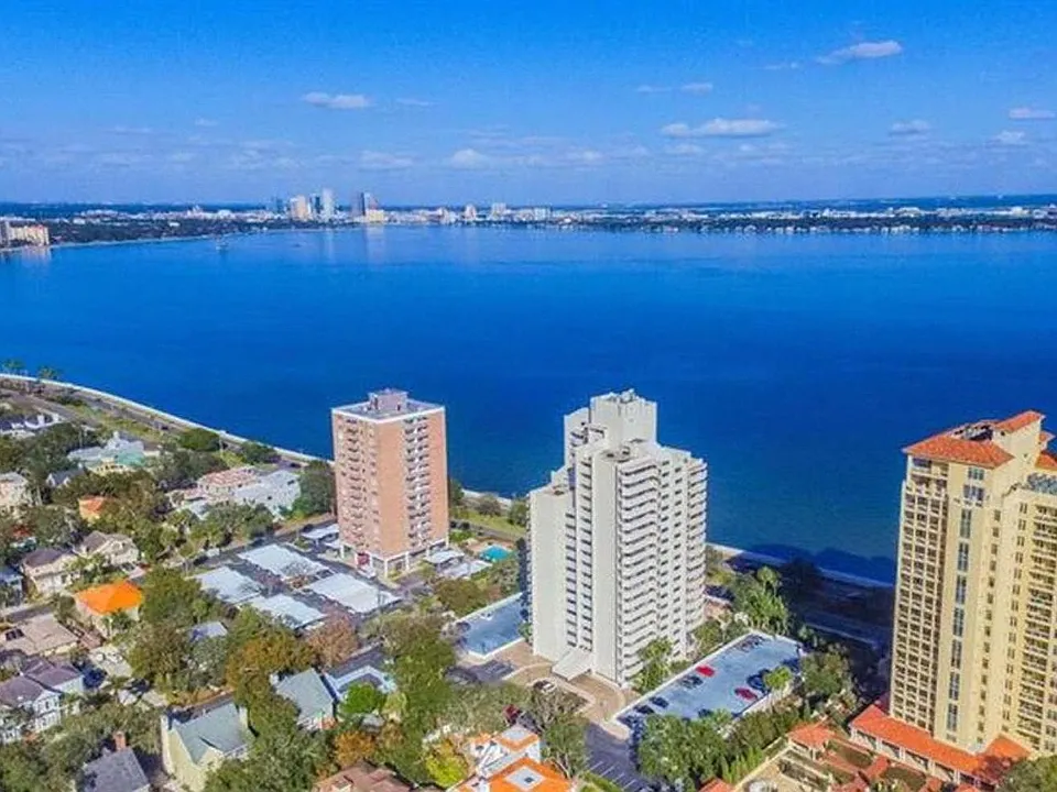 4141 Bayshore Blvd #1106