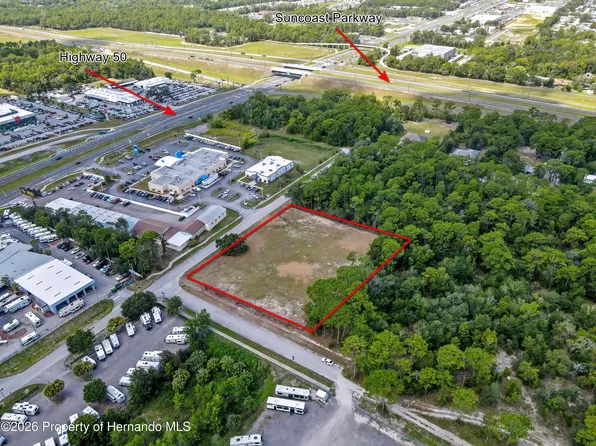 15241 Horn Ave, Brooksville, FL 34613