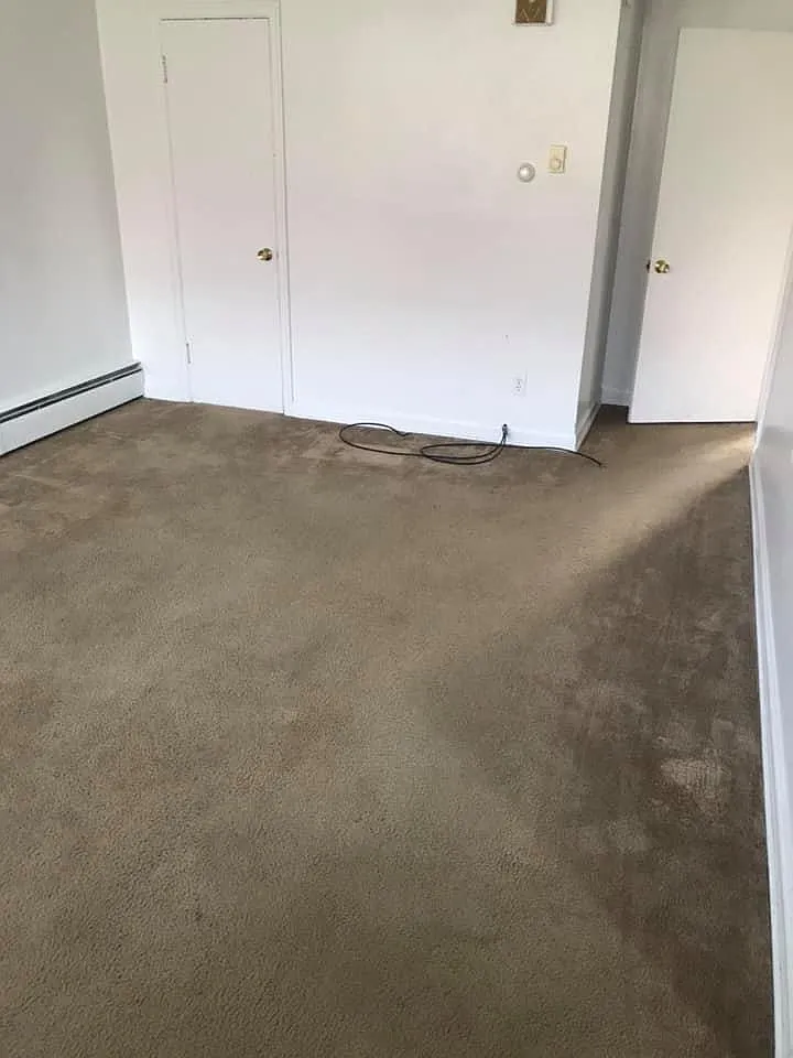 1 bed, 700 sqft, $700 — Photo 2