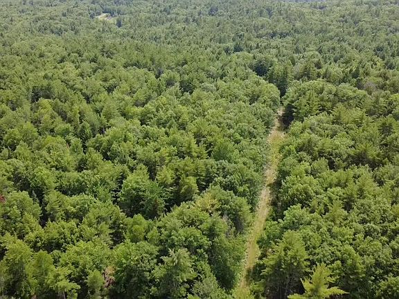 3rd image of R03-054M/K Off Bean Road