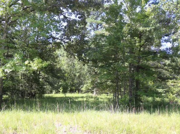 County Road 294, Selma, AL 36703