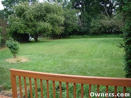 back yard view 1