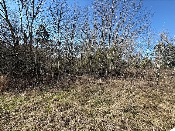 5th image of County Road 1755