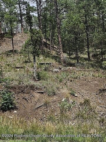 2nd image of 318 Paradise Canyon Dr