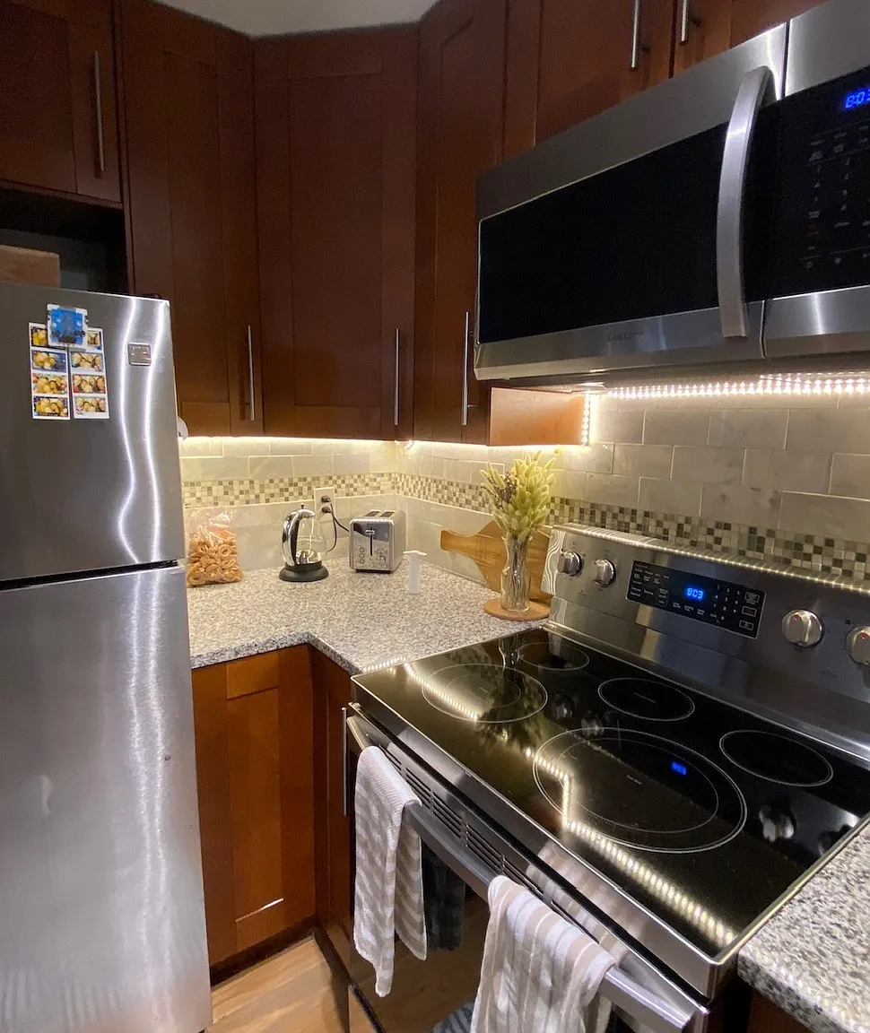 1 bed, 599 sqft, $2,600 — Photo 2