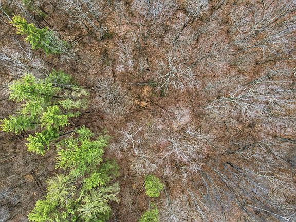 5th image of 34178 Kelly Rd