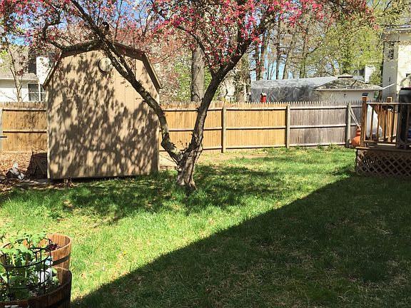 Back yard in spring 