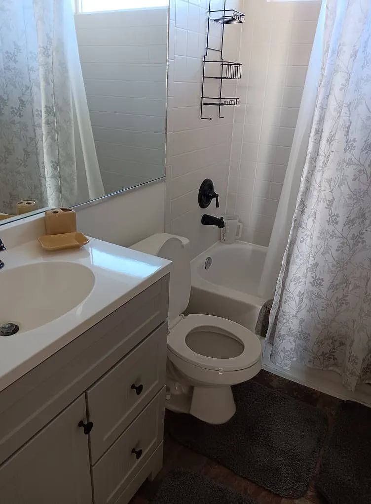 1 bed, 110 sqft, $700 — Photo 3