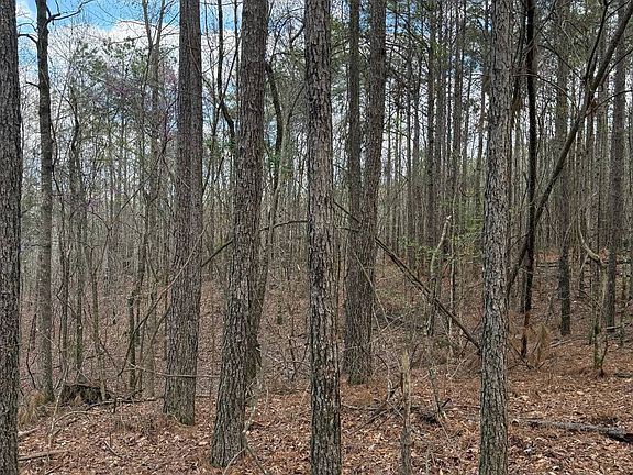 3rd image of 0 Macedonia Rd