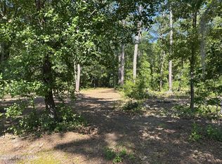 3 Big Eagle Rd Lot 3, Atkinson, NC 28421
