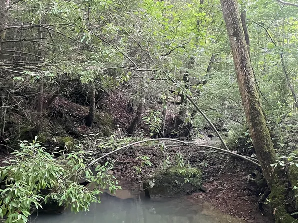0 County Road 1127, Strunk, KY 42649