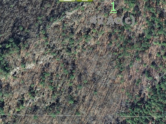 3rd image of Chelsea Game Preserve