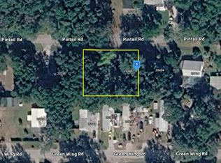 20348 Pin Tail Rd, Altoona, FL 32702
