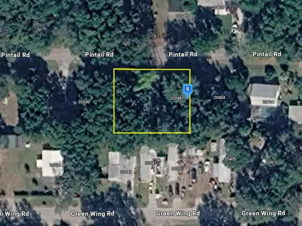 20348 Pin Tail Rd, Altoona, FL 32702