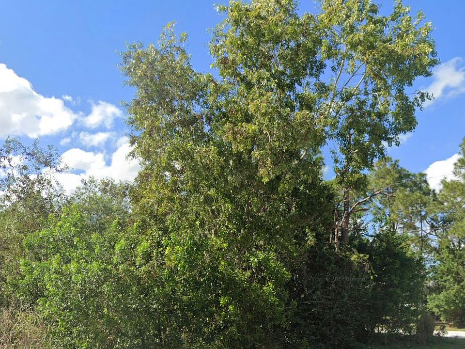 2nd image of 6781 Coconut Blvd