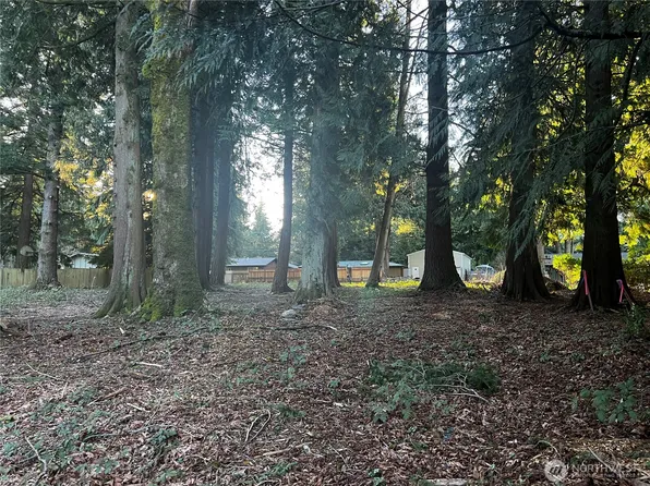 0 XXX Forest View Drive, Bellingham, WA 98229