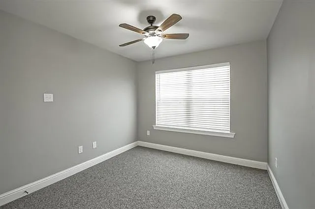 223 Snowy Egret Ct — Photo 19