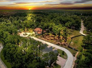 21 Honey Daffodil Pl, Spring, TX 77380