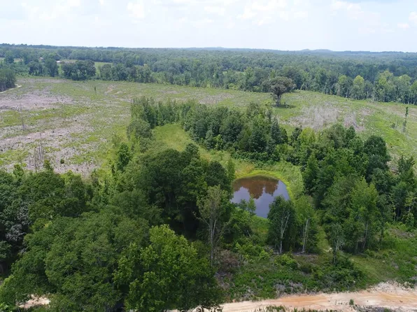 Old Meriwether Trl, Highland Home, AL 36041