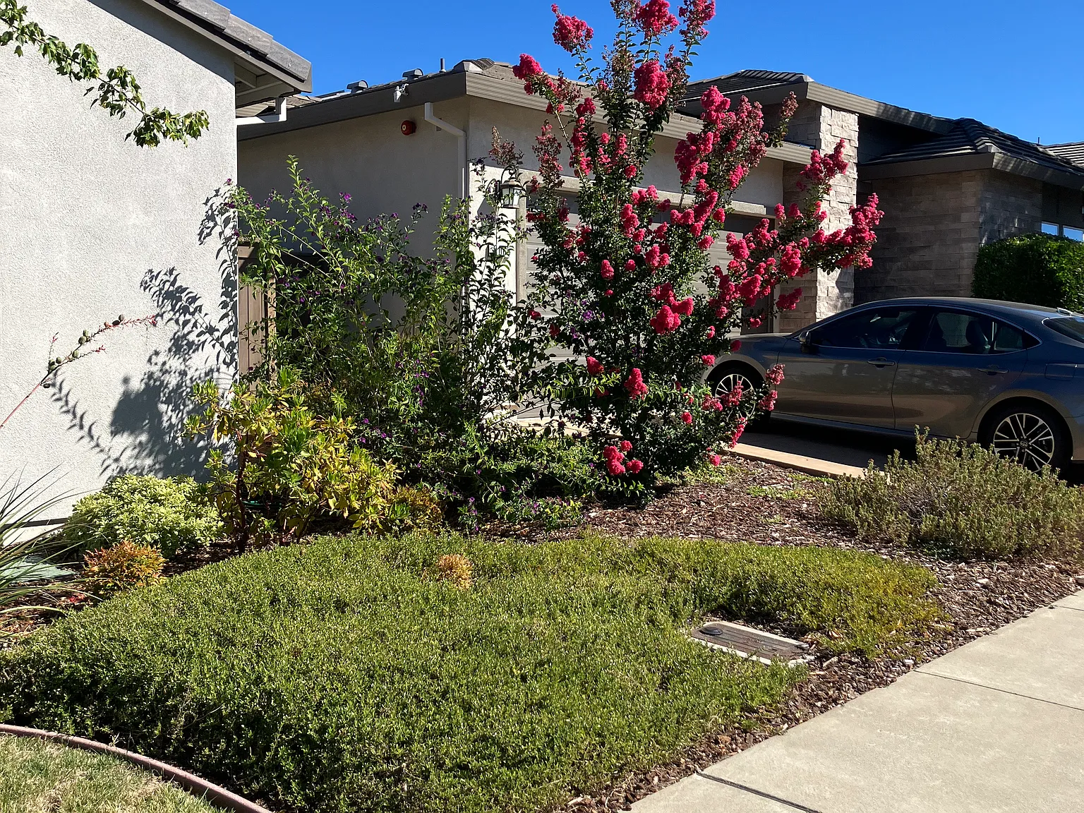 3 bed, 2.5 bath, 2051 sqft, $3,800 — Photo 3