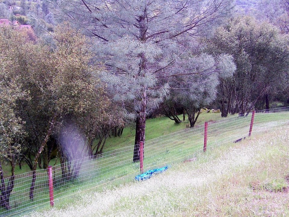 38788 Goldenrod Ln, Oakhurst, CA 93644 Zillow