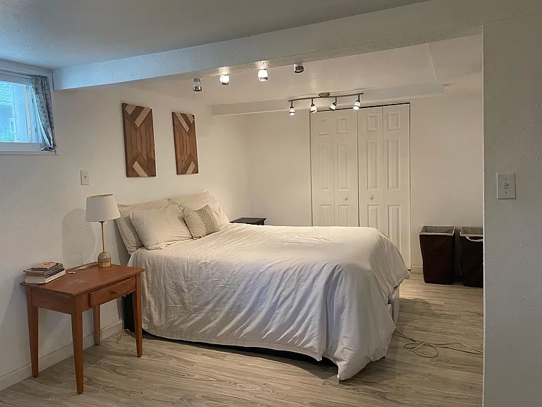 Downstairs Bedroom 3 (Large closet and room)