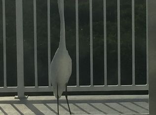 6191 Seaside Dr, New Port Richey, FL 34652