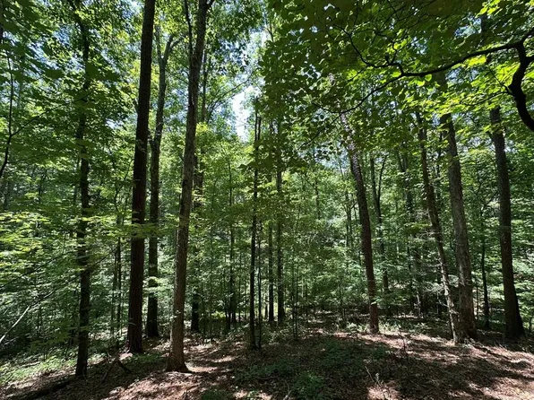 LOT 1884 Finale St, Talking Rock, GA 30175