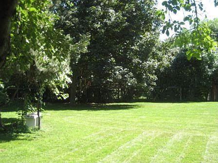 Large, private backyard