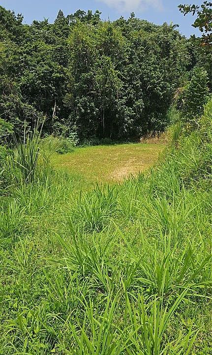 2nd image of Lote 7 Bo Montellano