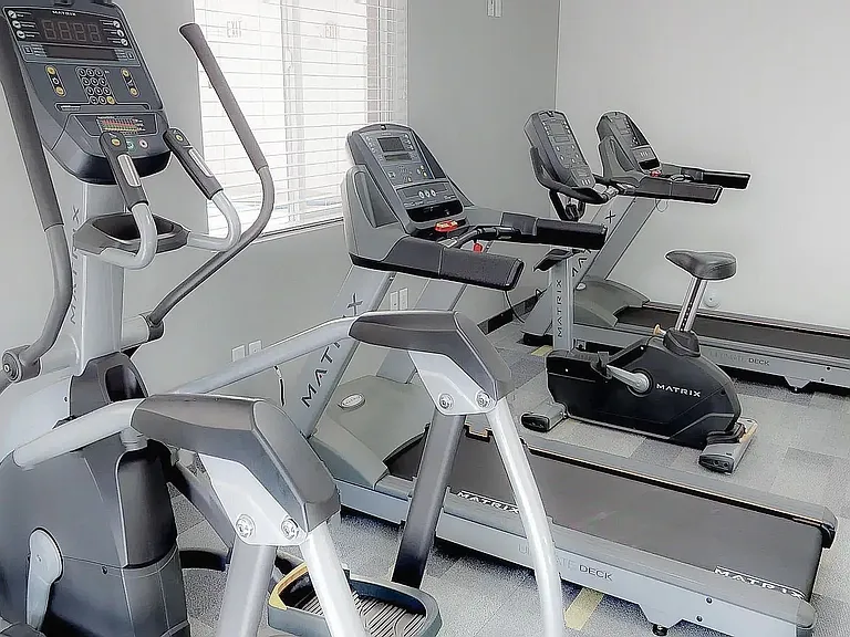 Work Out Equipment