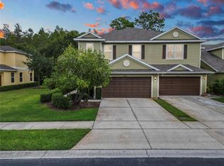 20217 Indian Rosewood Dr, Tampa, FL 33647