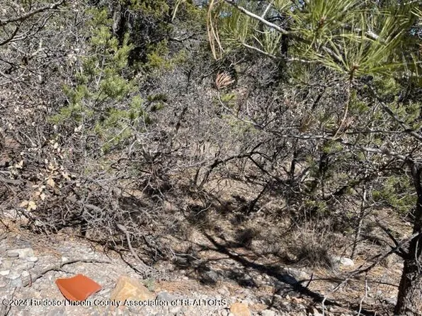 Lots Multiple Lots, Timberon, NM 88350