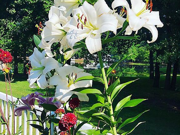 Built in raised garden 