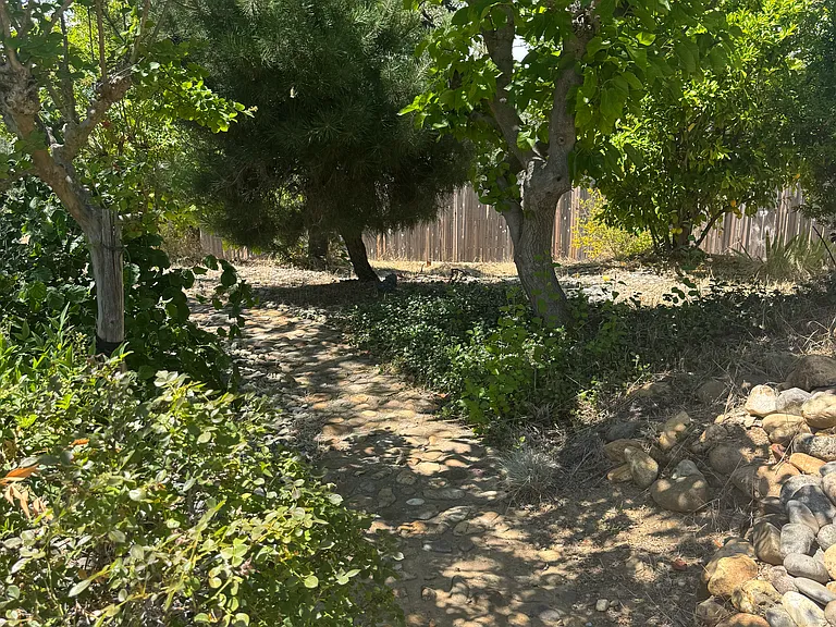 1022 Lema Rd — Photo 22
