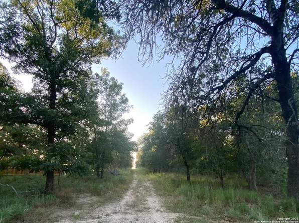 541 ENCHANTED OAK DR, La Vernia, TX 78121