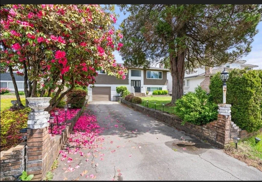 3 bed, 1293 sqft, $3,550 — Photo 4