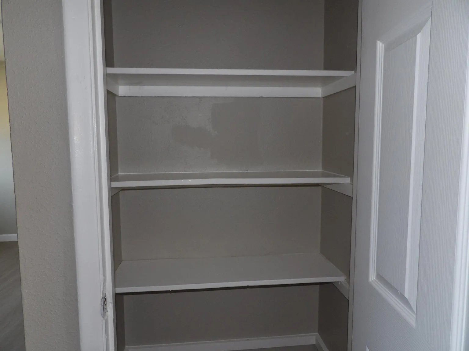 2 bed, 800 sqft, $1,250 — Photo 2
