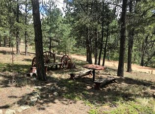 24 Beren St, Bailey, CO 80421