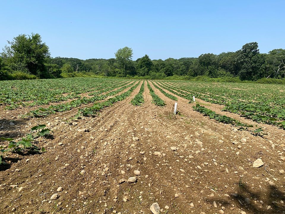 1st image of 252 Pine St Lot 3