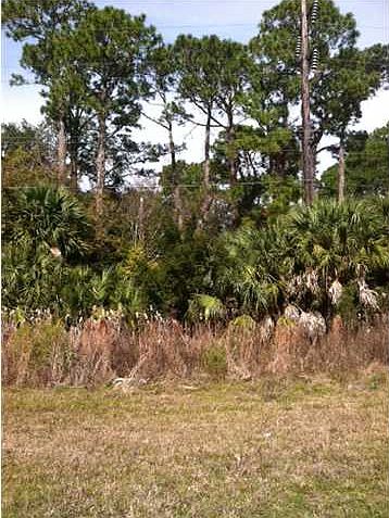 1st image of 483 Highway 98