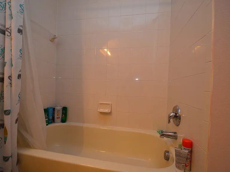 3841 White Birch Run — Photo 16