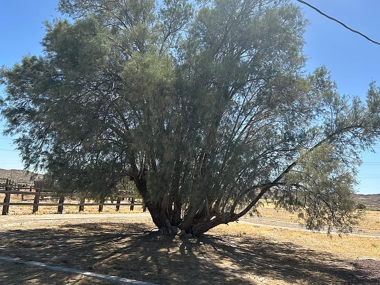 Meadow Grove Rd — Photo 26
