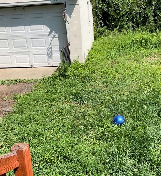 Back yard with Garage