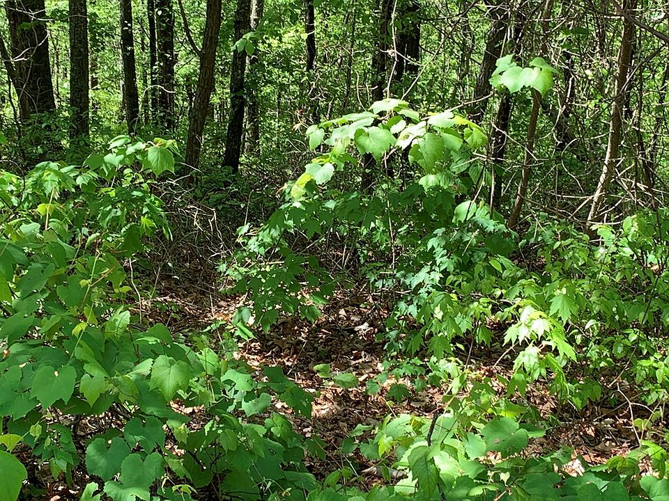 2nd image of LOT 116 Settlers View Ln #116E