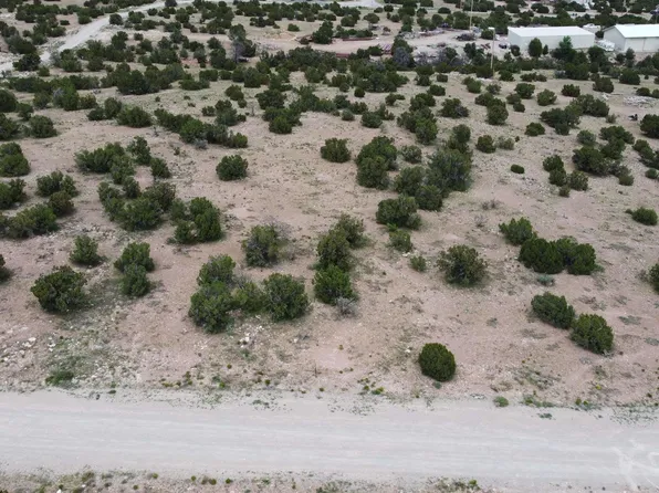 Camino De Silvestre, Grants, NM 87020