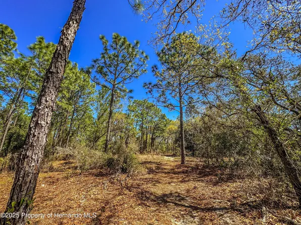 0 Sheffield Rd, Spring Hill, FL 34608