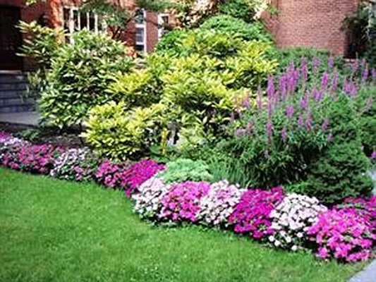 Sold by Douglas Elliman | media 15