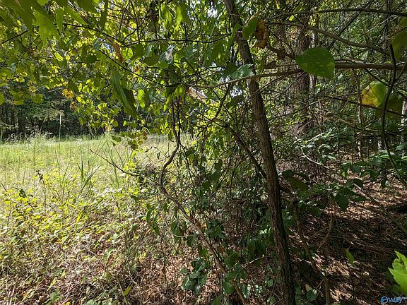 4th image of 3/ACRE S County Road 137
