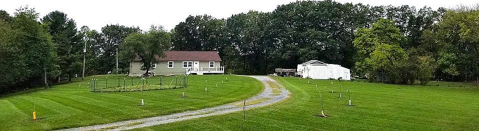 2nd image of 290 Eddys Ln